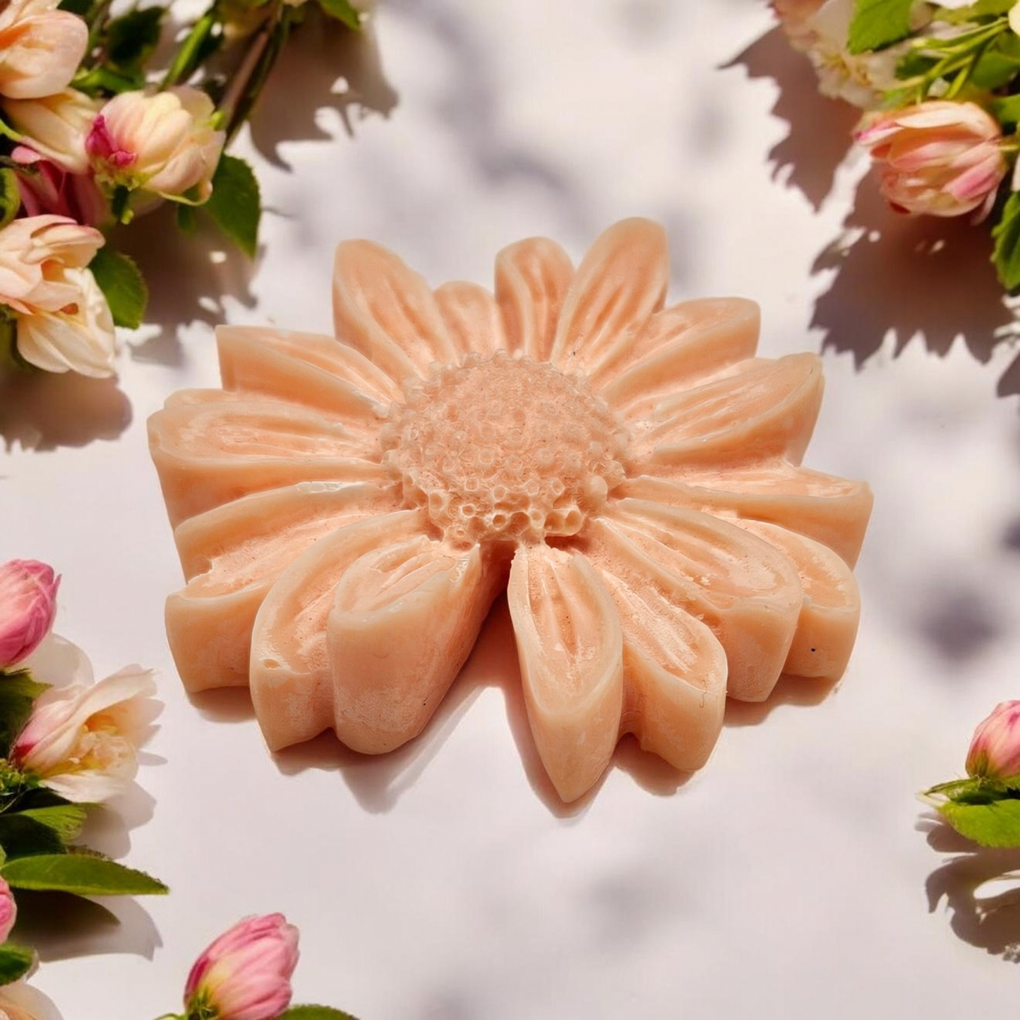 Peach Vanilla Echinacea Wax Melts