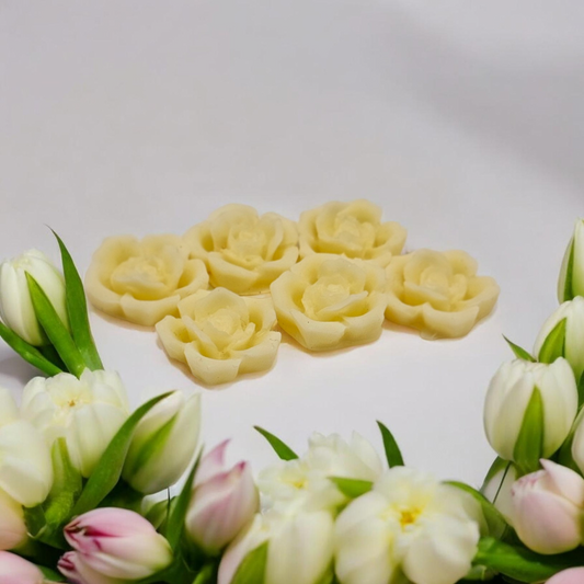 Golden Hazy Summer Nights Wax Melts